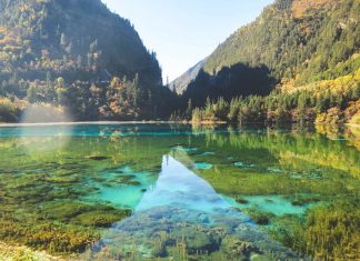 7 Reasons Cruising Is a Great Way to See the World